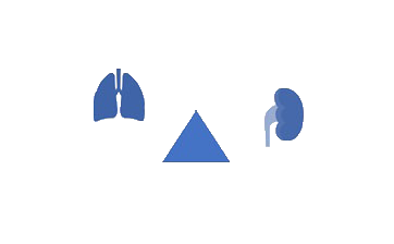 Arterial Blood Gas Analysis(ABG) ™