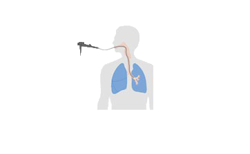 Fibre Optic Bronchoscopy Workshop(FOB) ™