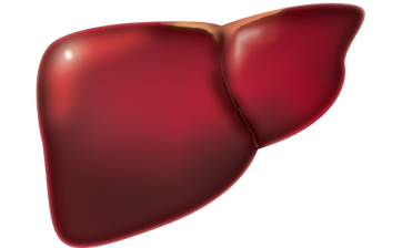 Acute Liver Failure